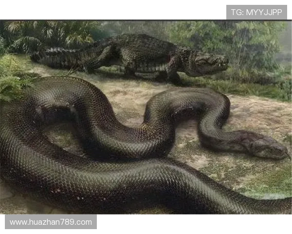 阿森纳如巨蟒实力令人敬畏